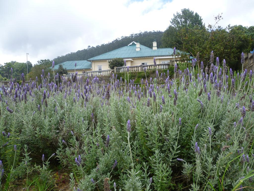 Senani Colonial Holiday Bungalow Nuwara Eliya Bilik gambar