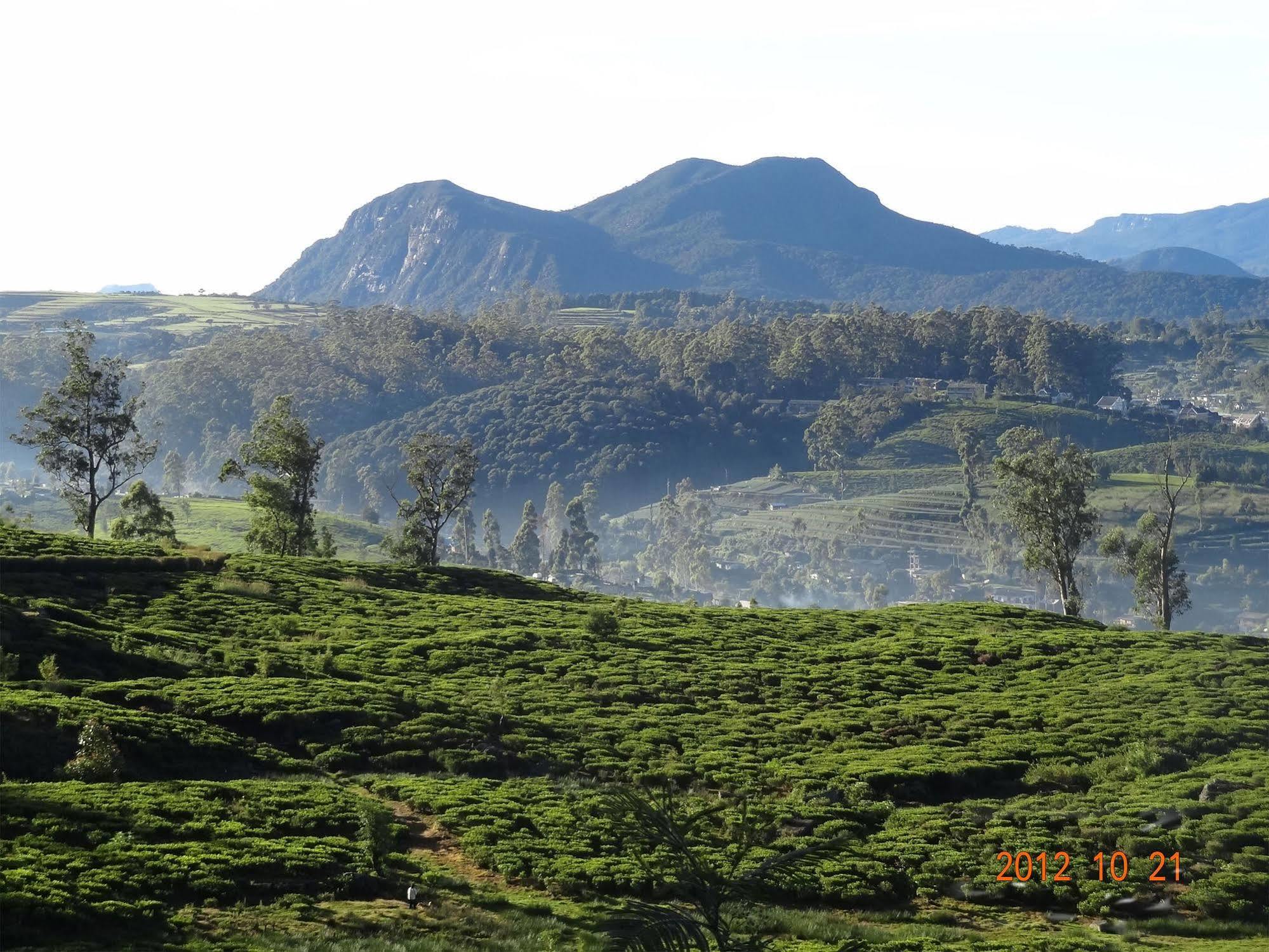 Senani Colonial Holiday Bungalow Nuwara Eliya Luaran gambar